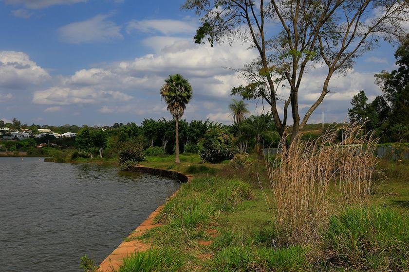 DF na real - desobstrução da orla do Lago Paranoá