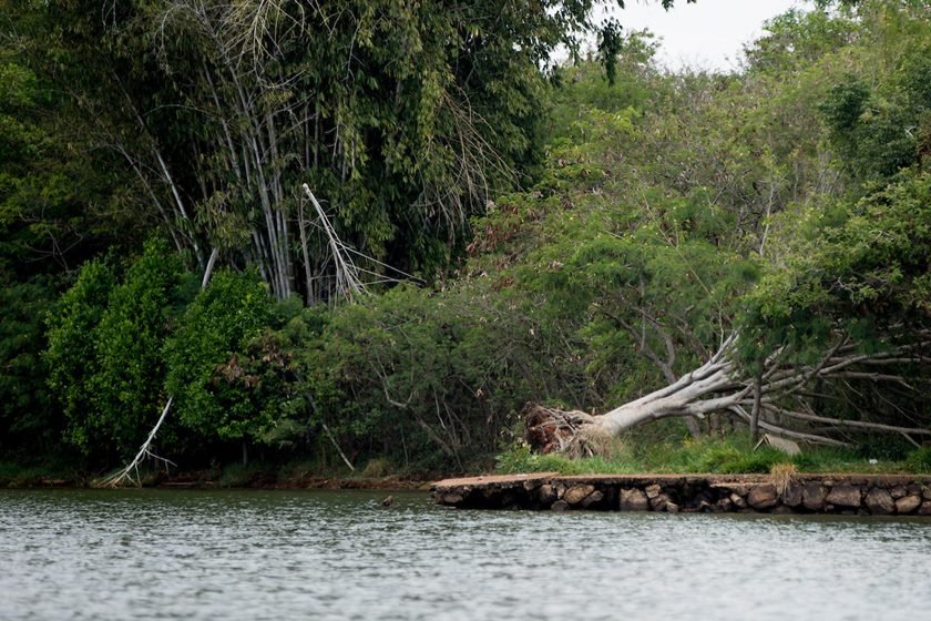 DF na real - desobstrução da orla do Lago Paranoá