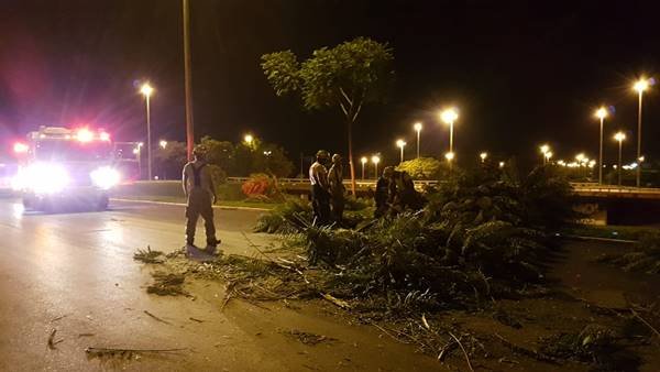 Divulgação/CBMDF