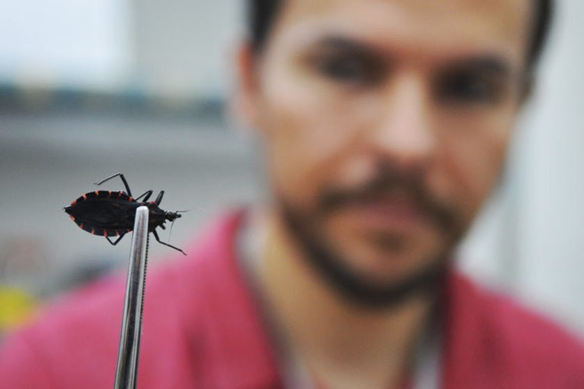 barbeiro-transmissor-chagas-cuidados-gabriel-jabur-768x512-840x560