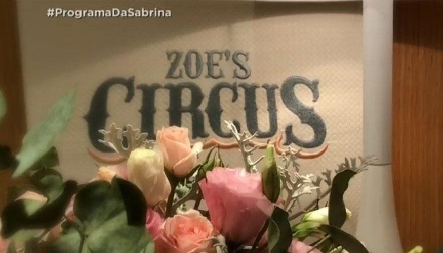 tema de circo chegada de zoe