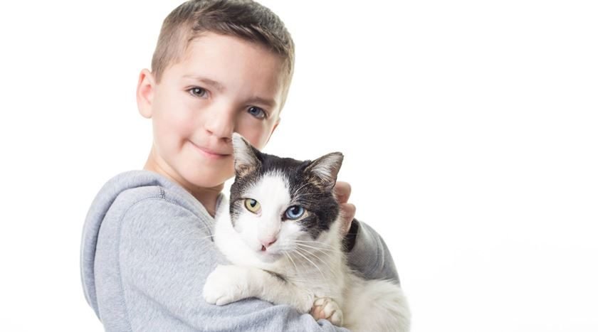 Resultado de imagem para Garoto sofre bullying com aparência e adota gato com mesma alteração genética