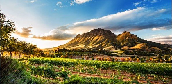 stellenbough