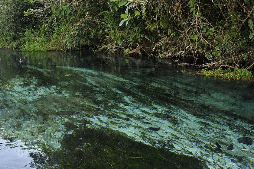 River with crystal clear water