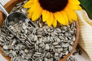 Nutricionista lista 4 sementes para aliviar sintomas da menopausa