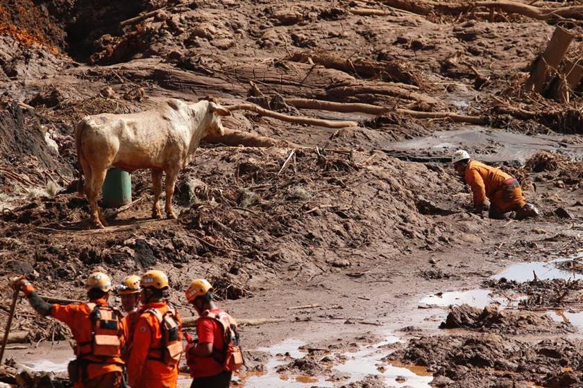 Oitavo dia de buscas em Brumadinho com 110 mortos e 238 desaparecidos