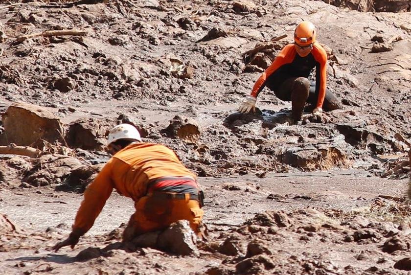 Oitavo dia de buscas em Brumadinho com 110 mortos e 238 desaparecidos