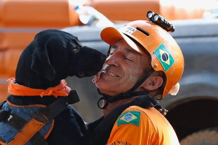 VÍDEO: Bombeiro que trabalhou em Brumadinho mostra resgate emocionante de  cão