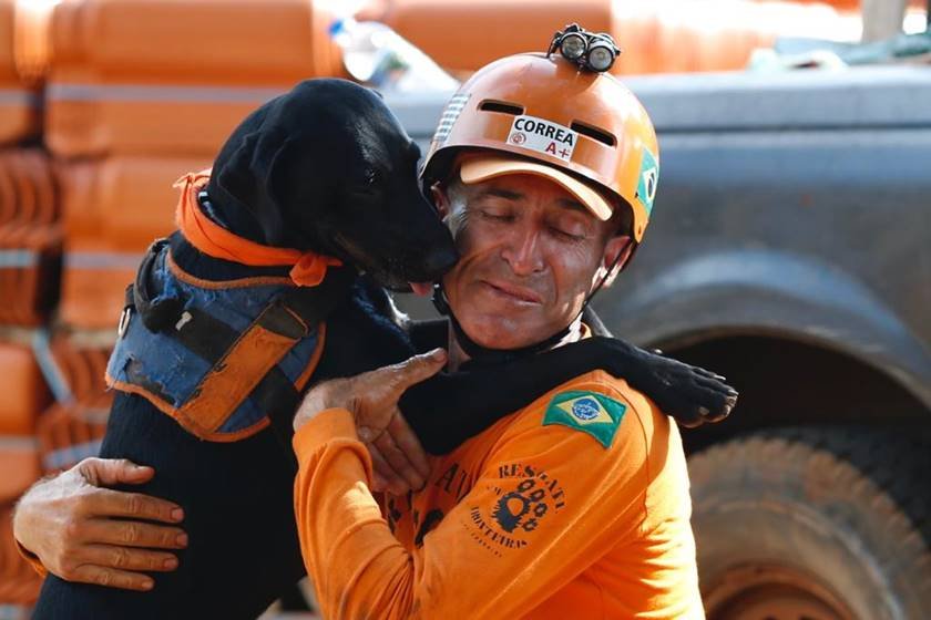 VÍDEO: Bombeiro que trabalhou em Brumadinho mostra resgate emocionante de  cão