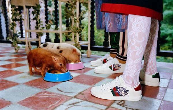 Frank Lebon/Gucci