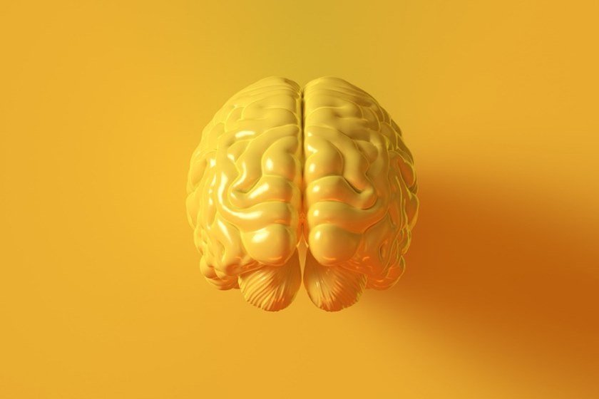 cérebro em fundo amarelo