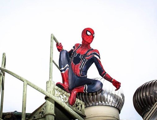 Luiz Antônio Marques - Homem-Aranha