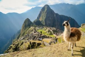 Foto colorida de Machu Picchu e uma lhama