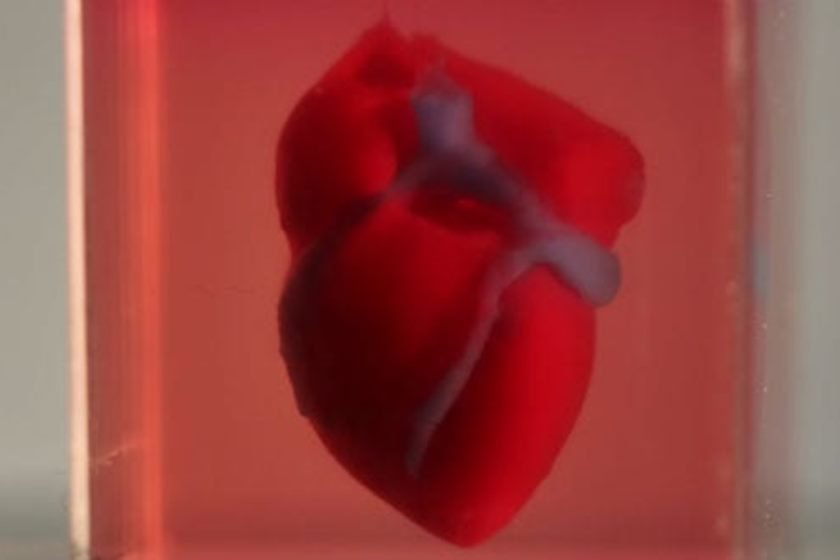 coração 3D