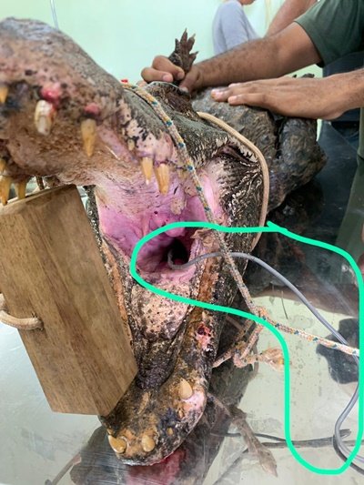 WhatsApp Image 2019-04-16 at 18.38.51