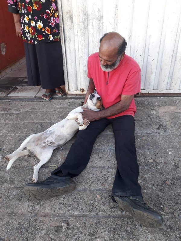 Cachorro do SAMU