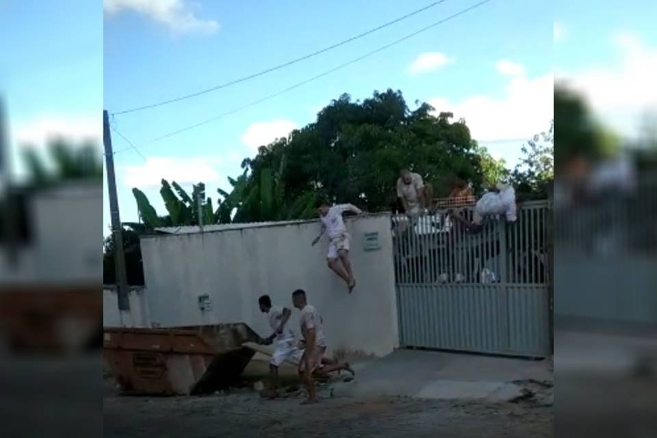 Reprodução