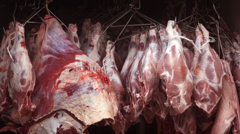 Suspeita de vaca louca em Minas afeta mercado da carne no país : r/brasil