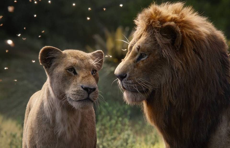 Novo O Rei Leão divide opiniões de críticos de cinema nos EUA