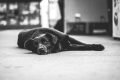 Unsplash