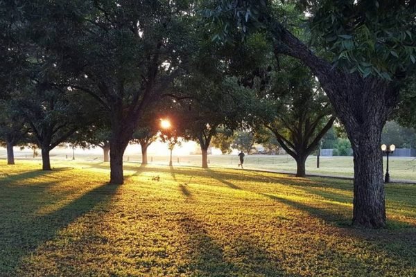 parque___11