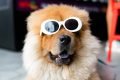 Reprodução/Unsplash