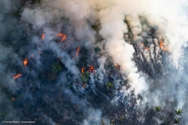 Amazônia-em-chamas