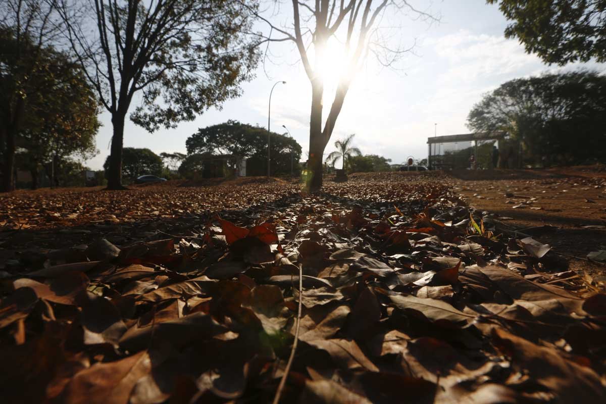 DF emite alerta para queimadas até o fim do período de seca na