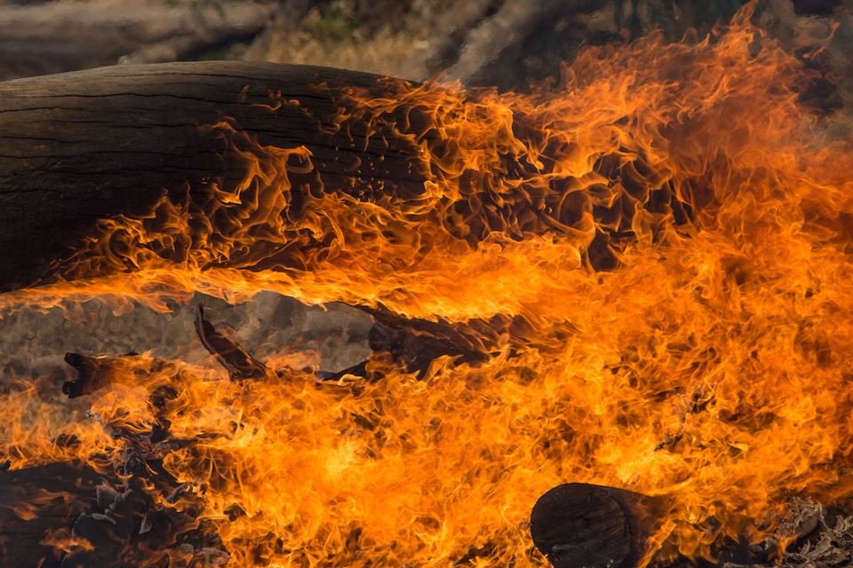Fogo no cerrado