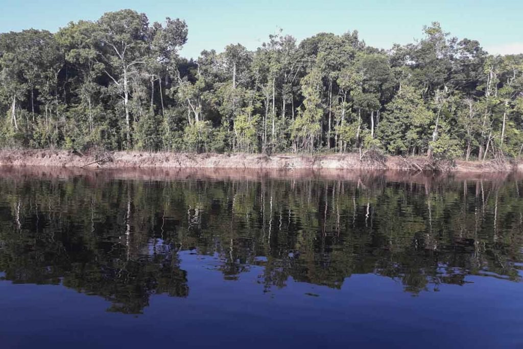 Segundo dados do Instituto Nacional de Pesquisas Espaciais (Inpe), entre agosto do ano passado e julho deste ano, os alertas de desmatamento na Amazônia tiveram aumento de 34,5%, na comparação com os 12 meses anteriores