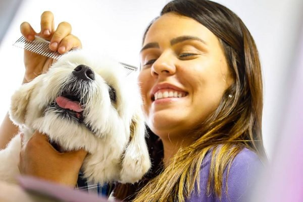 Petshop móvel. Brasília(DF), 24/10/2019