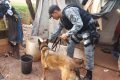 Divulgação/PMDF