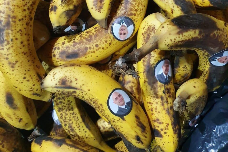 Bananas-Palmeiras.jpeg