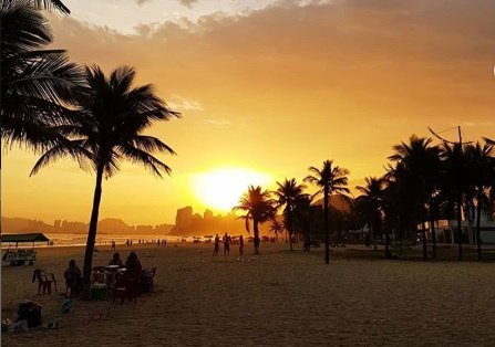 Pôr do sol em uma praia, com árvores na frente