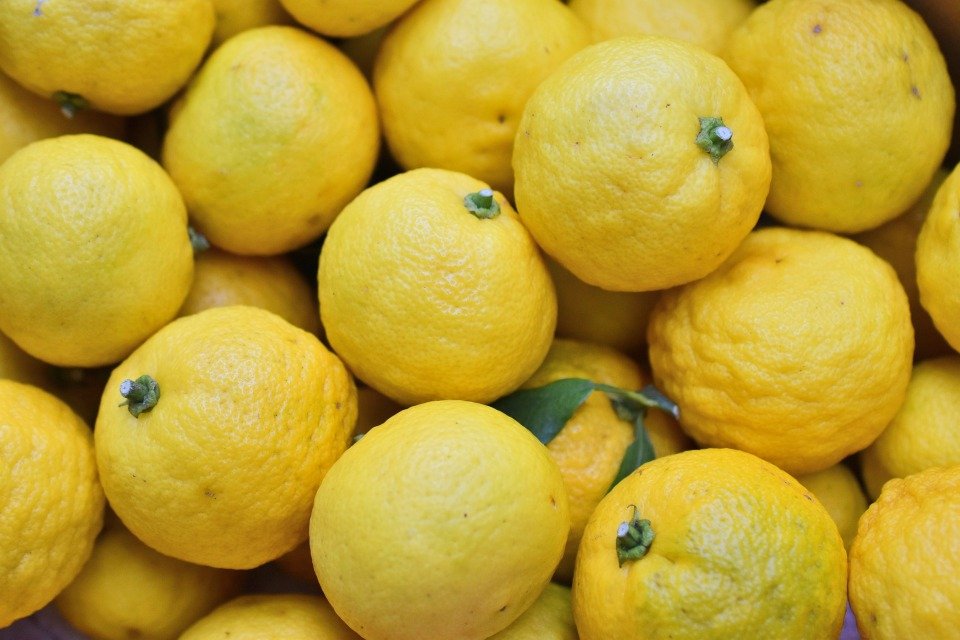 Conheça yuzu, a fruta mais pesquisada por brasileiros em 2019 | Metrópoles