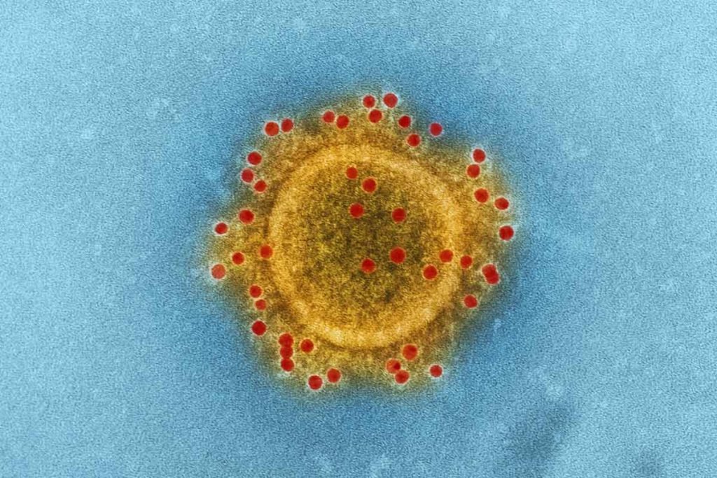 imagem de um coronavírus
