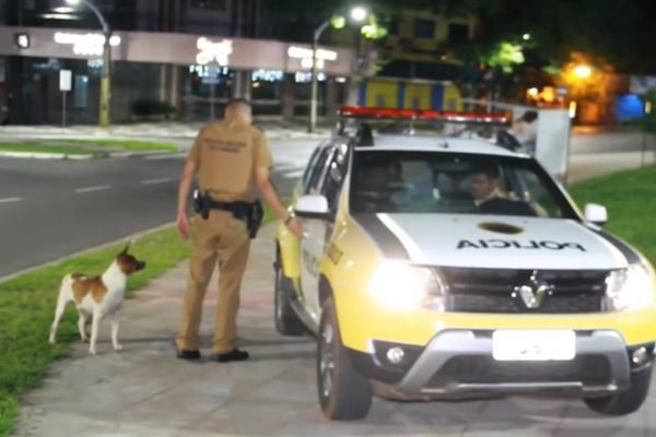 policia-cachorro