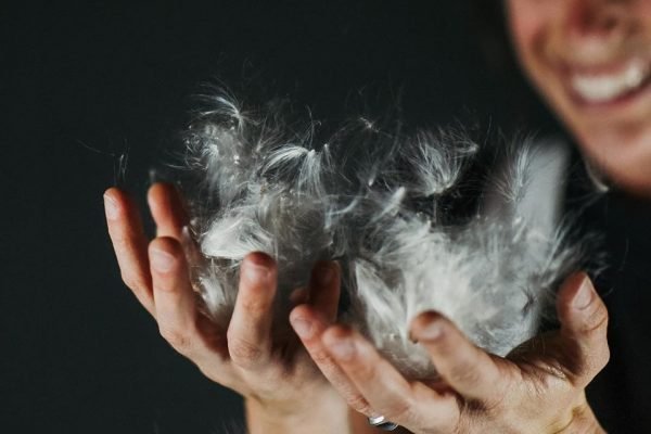 Conheça a fibra natural Milkweed e a sua importância para a moda
