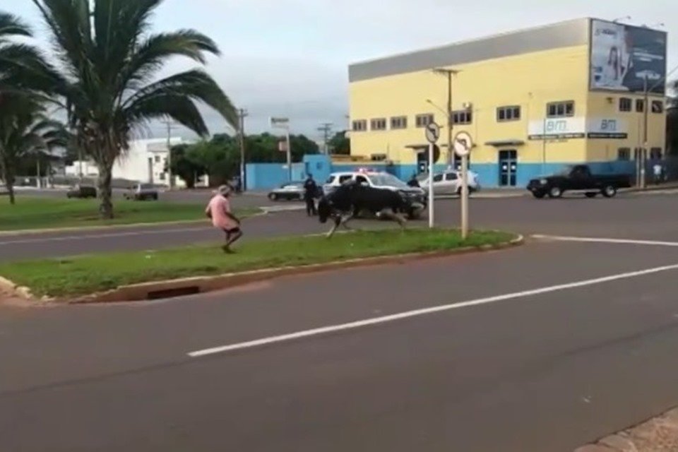 Reprodução