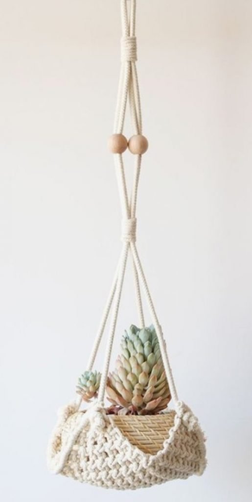 Planta com apenas um suporte