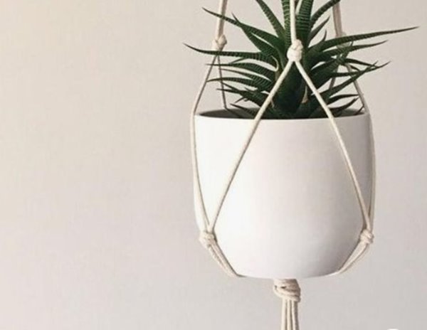 Planta com suporte de macramê mais simples