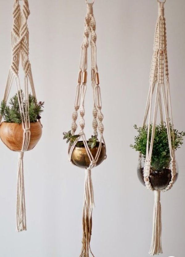 Três plantas com suportes de macramê