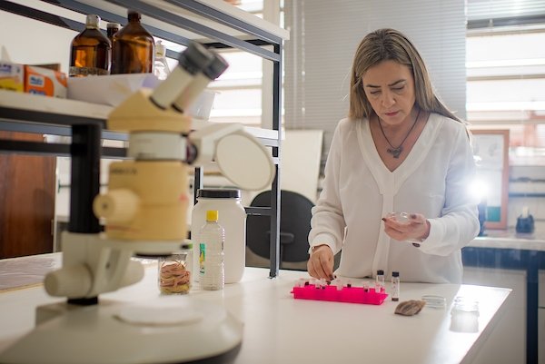 Rosana Tidon (foto em destaque), 58 anos, é coordenadora do programa de pós-graduação em ecologia da UnB