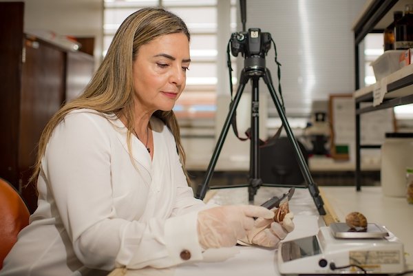 Rosana Tidon (foto em destaque), 58 anos, é coordenadora do programa de pós-graduação em ecologia da UnB