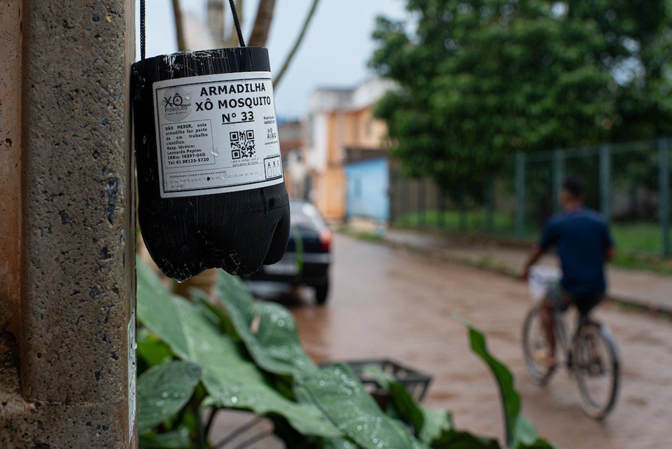 Em meio a alta de casos de dengue, população toma iniciativa contra o mosquito Local: Cidade Estrutural