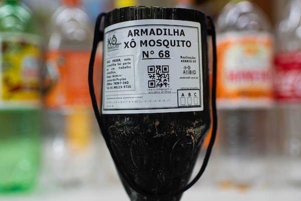 Garrafas PET são adaptadas como armadilhas para o mosquito transmissor da dengue