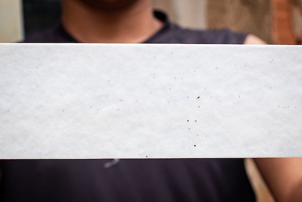 Brasília (DF), 05/03/20 Em meio a alta de casos de dengue, população toma iniciativa contra o mosquito Local: Cidade Estrutural