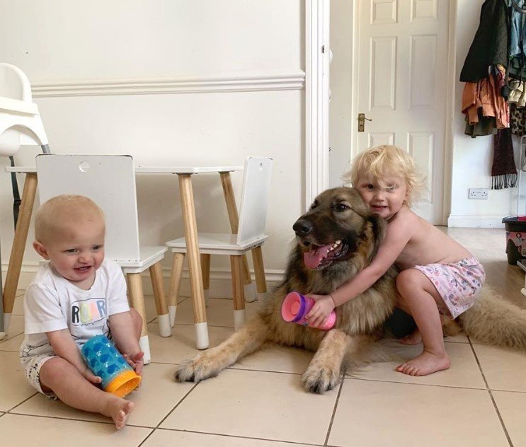 Cachorro da raça pastor alemão com crianças