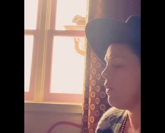 cantores fazem show ao vivo no instagram