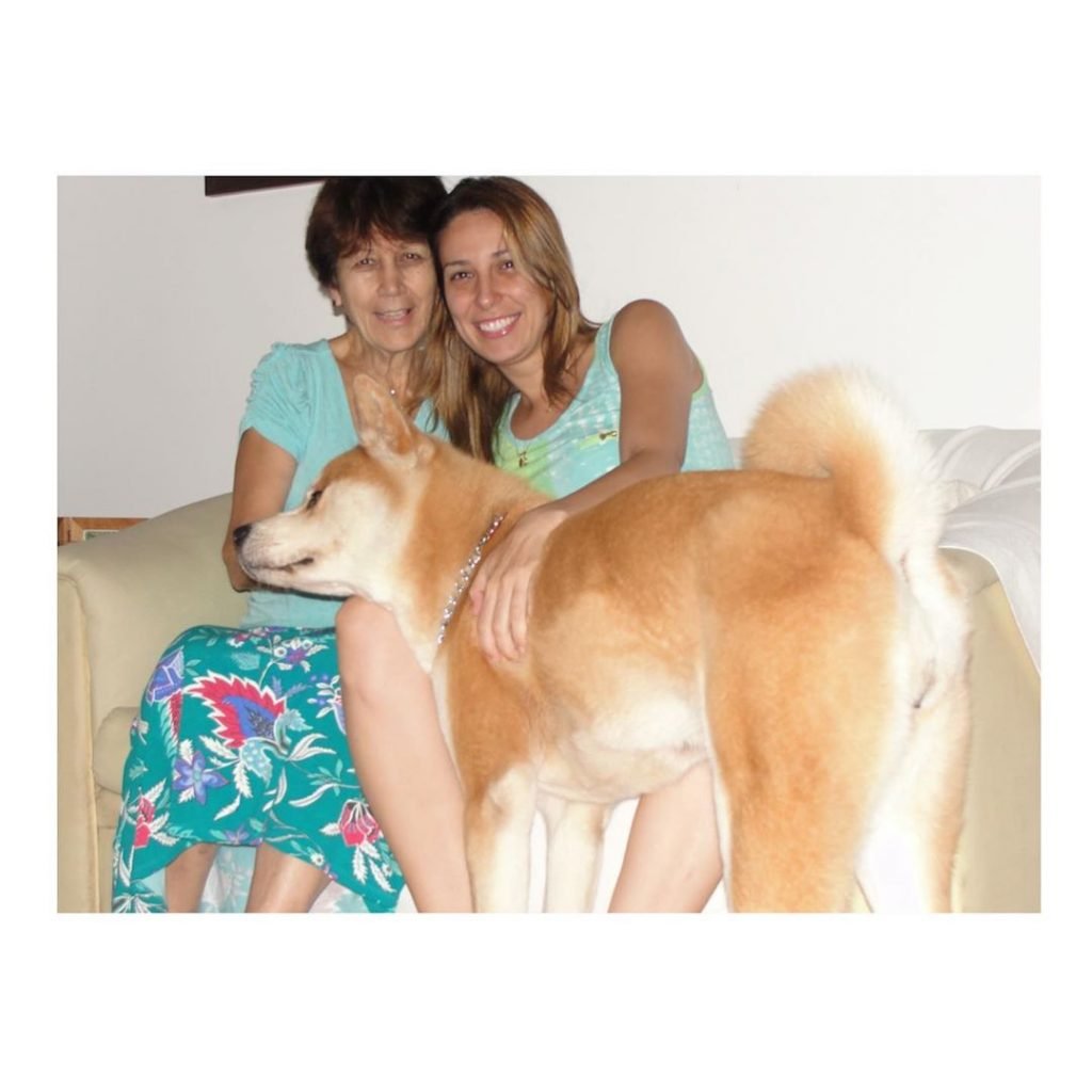 Akita recebendo carinho